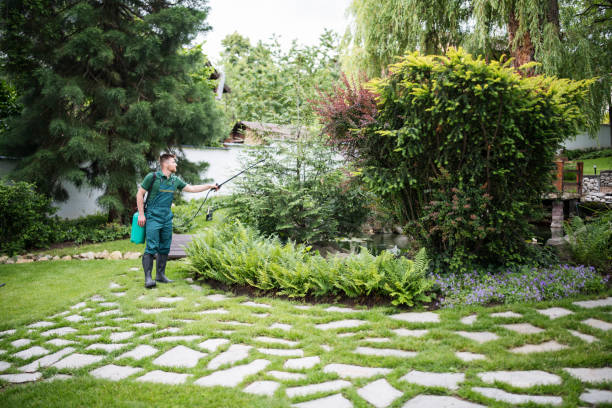 Best Insect Control  in Dublin, OH