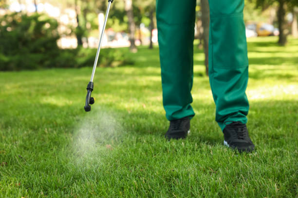 Best Pest Inspection Near Me  in Dublin, OH