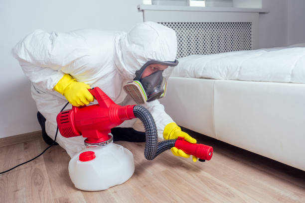 Best Emergency Pest Control  in Dublin, OH