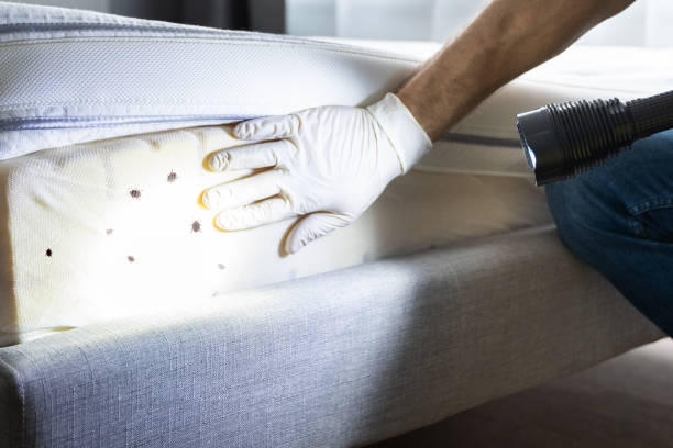  Dublin, OH Pest Control Pros