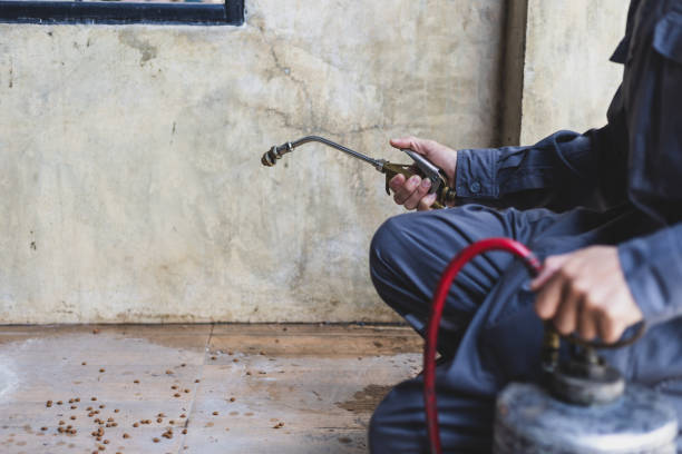 Best Pest Prevention Services  in Dublin, OH